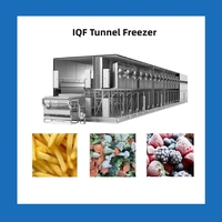 Équipement de surgélation rapide IQF, congélateur tunnel rapide avec unité de compresseur pour fraises, bleuets et autres baies