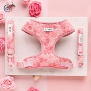 OKKPETS パーソナライズ ピオニーパップ 調節可能ネックハーネス カスタムロゴ 快適 リード＆カラーバンドル 犬用ハーネスセット - Product Image 1