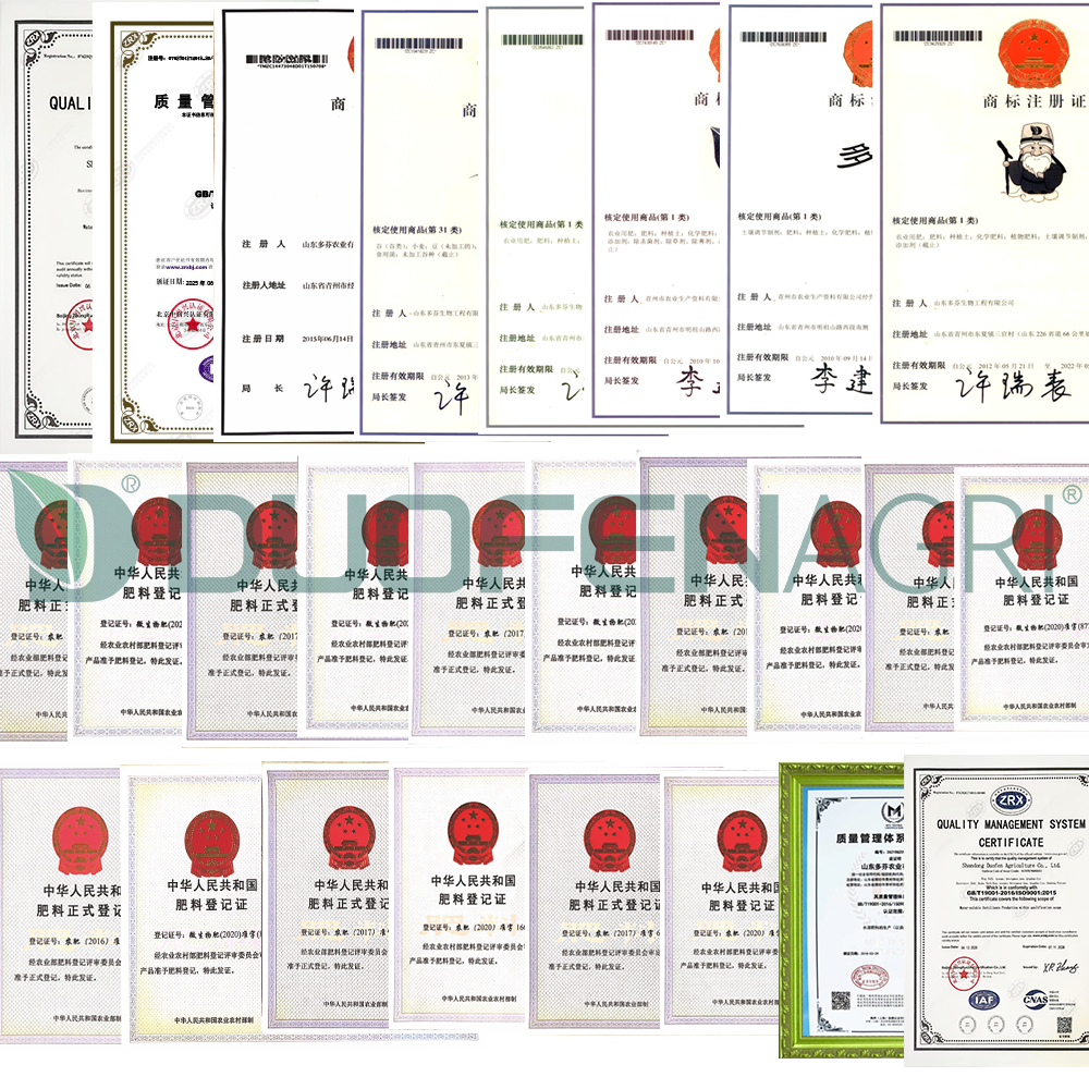 Wholesale Amino Acid Chelated B Ca Zn Mg Fe Liquid Fertilizer image 5