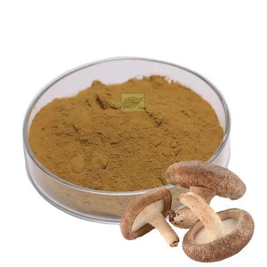 Hot-bán chăm sóc sức khỏe bổ sung khô Shiitake nấm Mushroom extract polysaccharides bột