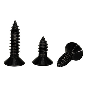 Vis autotaraudeuses à tête fraisée Phillips en acier inoxydable 304, plaquées zinc noir, M2-M6, attaches de qualité industrielle A - Product Image 3