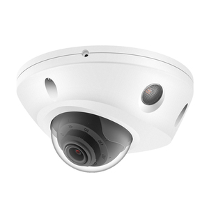 Chất lượng cao OEM thương hiệu nhỏ kim loại Vandal IK10 Dome Camera màu đêm 6MP 25FPS PoE Mạng Máy ảnh con người xe phát hiện - Product Image 1