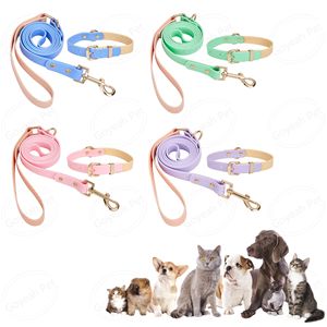 2024 alla moda in PVC Pet collare guinzaglio impermeabile indistruttibile - Product Image 1