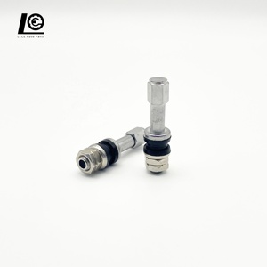 Vanne de pneu en fer en gros, vanne de pneu sans chambre à air pour moto TR48E - Product Image 2