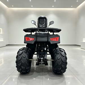 Cuatrimoto ATV Utilitaria para Niños, de Cuatro Ruedas, 125cc, Automática, con Transmisión por Cadena, para Jardín, Parque y Uso Todoterreno - Product Image 6