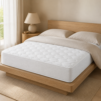 Matelas Queen à ressorts ensachés, compressé sous vide en boîte, idéal pour appartement, OEM