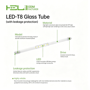 Type B-T8 Nord-Américain 600mm 7W 230V50Hz LED <span class=keywords><strong>Tube</strong></span> compatible connexion mono/bi-extrémité, Protection Fuite Courant CE - Product Image 5