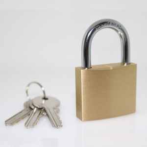 भारी ड्यूटी पीतल पदलॉक 20-70 मिमी सामान गोदाम दरवाजा सुरक्षित पदलॉक - Product Image 6