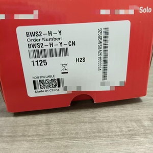 เครื่องตรวจจับก๊าซ BW รุ่น BWS2-H-Y ของแท้ ขายดี - Product Image 5