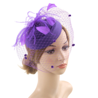 Chapeau Fascinator pour Femmes et Filles, Style Western, avec Accessoires pour Cheveux (Clip, Filet à Cheveux, Voile à Plumes), Thème Course Hippique de Beauté