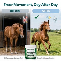 Poudre de soutien articulaire équine OEM ODM Glucosamine Chondroïtine MSM Mobilité Flexibilité Marque Privée