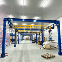 WEMAX Promotion Grue Ponteuse Flexible Combinée 3000 kg Hauteur de Levage 20 m Monopoutre Moteur PLC Portée Personnalisée CE