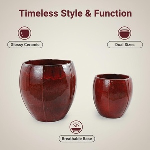 Maceta Moderna de Alta Calidad, de Barro, con Orificios de Drenaje, Acabado Esmaltado, Resistente, para Uso en Interiores/Exteriores, Jardinera de Piso - Product Image 6