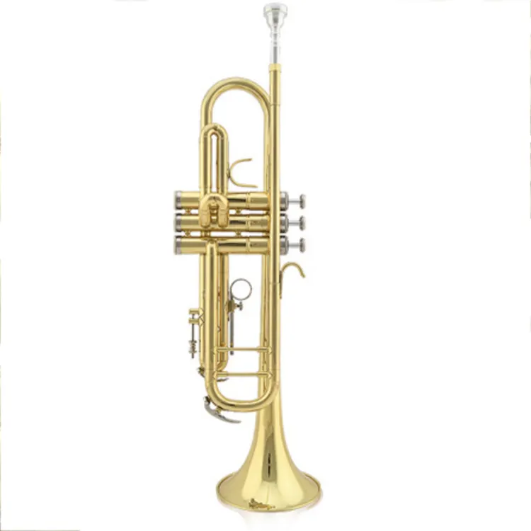 Brasswind instrumentos laca trompete bb chave trompete para iniciantes