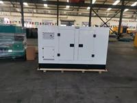 Générateur diesel silencieux Ricardo 40 kVA 30 kW avec alternateur en cuivre pur pour usage professionnel et secours