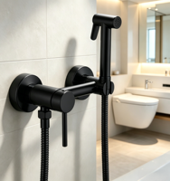 Ensemble de douche thermostatique en acier inoxydable 304 à poignée unique, mitigeur céramique chaud/froid, surface polie, pour usage hôtelier