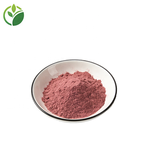 Bubuk Delima Beku Kering Berkualitas Tinggi Grade Makanan OEM, Bubuk Jus Delima, Bubuk Buah Delima Organik - Product Image 3