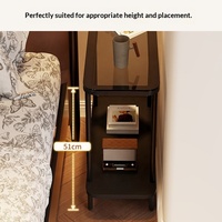 Table d'appoint minimaliste moderne ultra-plate à double niveau avec étagère en verre trempé pour canapé et rangement de chevet