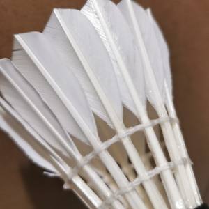 Volants de badminton en plumes de canard, double vol, stabilité accrue, durables, compétitions de badminton, volants de badminton - Product Image 2