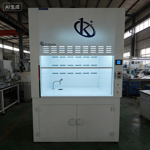 Campana <span class=keywords><strong>de</strong></span> Extracción <span class=keywords><strong>de</strong></span> Gases Metálica para Uso en Escuelas, Hospitales, Exteriores y Laboratorios, Gabinete <span class=keywords><strong>de</strong></span> Purificación <span class=keywords><strong>de</strong></span> Gases Ácidos y Alcalinos, Industrial, Anti-fugas - Product Image 4