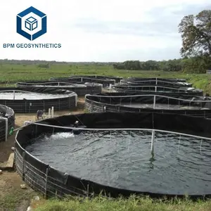 Geosynthetic Construction Material Membrane Geomembrane for Fish Farm Tank in Costa Rica