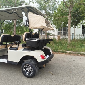 Carrito Utilitario Tipo Buggy para Club de Caza, de Alta Calidad, 4 Plazas, Carrito de Golf para Calle, 48V/5000W, Certificado CE, con Faros LED - Product Image 5