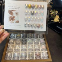 Poudre miroir Aurora Moonlight 24 couleurs, effet miroir chromé, vente en gros, ensemble de poudre à ongles transparente incroyable avec boîte en bois transparente
