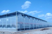 FUMA FM-MFMS Commerciële Multi-span Venlo-type kas met polycarbonaat platen voor hydroponie