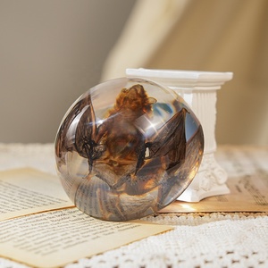 Venta Caliente de Artesanías de Resina, Decoración de Taxidermia de Murciélago, Especímenes de Animales Reales en Resina, Adornos para el Hogar, Regalos Únicos para Entusiastas de la Biología - Product Image 4