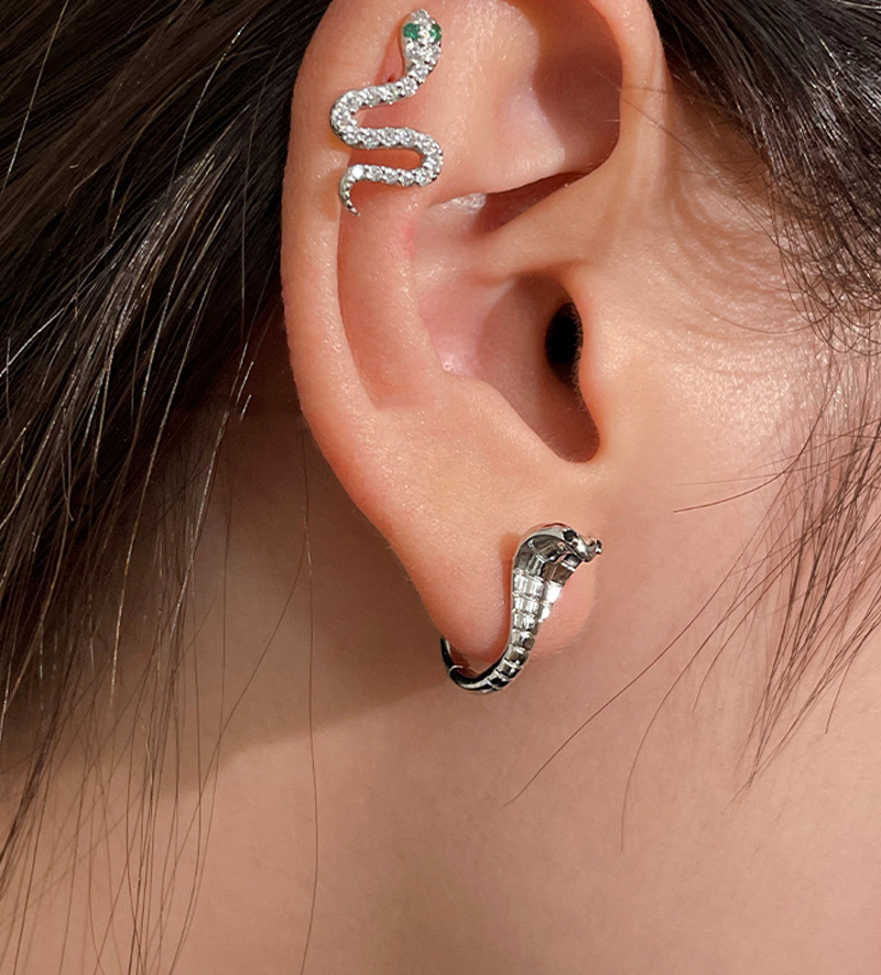 Yifnny Orecchini Serpente, Piccoli Serpente Huggie Orecchini a Cerchio Personalizzati Punk Lunghi Animale Gioielli per Donne (Argento