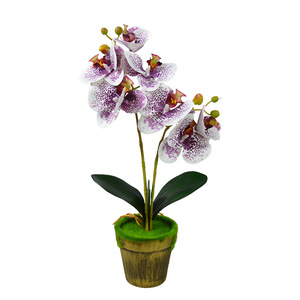 Orchidée Phalaenopsis artificielle, bonsaï, 40 cm, plante en soie, décoration d'intérieur, accessoires de mariage, rose, blanc, champagne, violet - Product Image 5