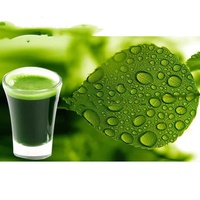 B.C.I fournit en vrac de la poudre séchée en spray de chlorophylle, extrait de 95% de cuivre sodium, poudre de chlorophylle