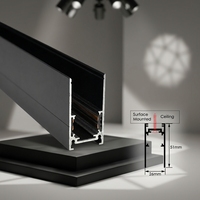 Système d'éclairage sur rail magnétique encastré sans cadre 48V en aluminium COB dimmable pour villa, maison, bureau et éclairage commercial