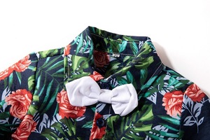 Ropa de Moda para Bebés, Traje Hawaiano para Niños, Conjuntos de Pantalones Vaqueros Elegantes con Pantalones Verdes de China - Product Image 4