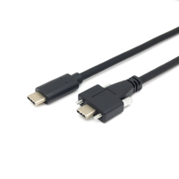 FARSINCE USB 3.1 Type C mâle à mâle Câble de montage sur panneau avec double vis