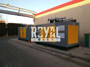 Generador Eléctrico Nuevo de Marca en Oferta, 100 kVA, 80 kW, 60 Hz, Insonorizado, Silencioso, Modelo RYLP100C 60 Hz - Product Image 5