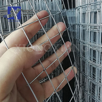 Filet de clôture pour volailles, enclos pour lapins, cage à poules, clôture de ferme en fil de fer, rouleau de clôture en PVC, treillis soudé