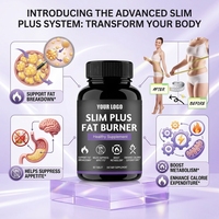 Produits OEM pour brûler la graisse du ventre, produits amincissants, régime cétogène ACV, Slim Plus, brûleur de graisse, compléments alimentaires pour la gestion du poids, capsules détoxifiantes pour brûler la graisse