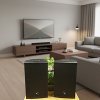 Haut-parleur professionnel Line Array de 10 pouces RM10.1 avec une puissance de 250 W, construction en contreplaqué, fabriqué en Chine
