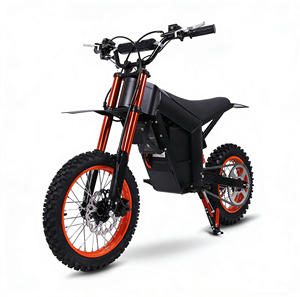 Motocicleta todoterreno de 48V30Ah con alcance de 100KM y velocidad de 75km/h en venta - Product Image 3
