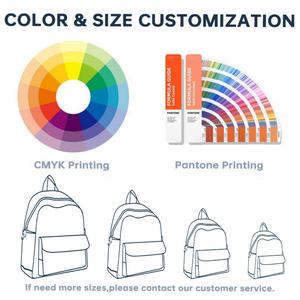 High Quality <b>Clear</b> PVC Mini <b>Backpack</b> Large Capacity Transparent with Custom Logo Unisex Soft Feature Zipper Closure Outdoor Use - Product Image 2