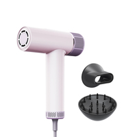 Moderne de haute qualité 1600W 110V 240V haute vitesse sèche-cheveux cheveux bouclés Multi Styler Salon sèche-cheveux dortoir hôtel RV utilisation