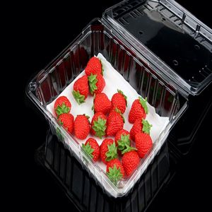 Almohadillas Absorbentes de Frutas Ecológicas para Envasado de Alimentos - Product Image 4