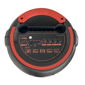 Meilleure Vente Karaoké Double Haut-parleur 8 Pouces 20W Micro Filaire Enregistrement Écho Utilisation Extérieure Fête Éclairage LED RGB Prise en Charge Carte Mémoire - Product Image 5