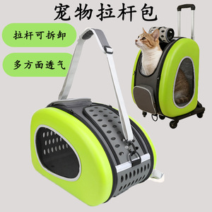 Bolsa de transporte plegable y portátil para mascotas, transpirable, pequeña, para exteriores, para gatos y perros - Product Image 1
