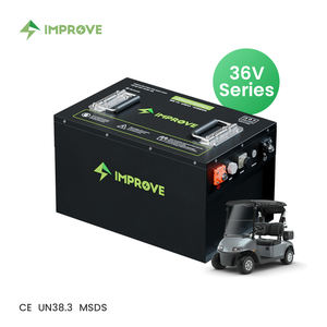 6000 + Cycli Oplaadbare 24V 36V 48V 72V 100ah 105ah 150ah 200ah Lithium-Ion Batterij Lifepo4 Batterij Voor Golfkar - Product Image 2