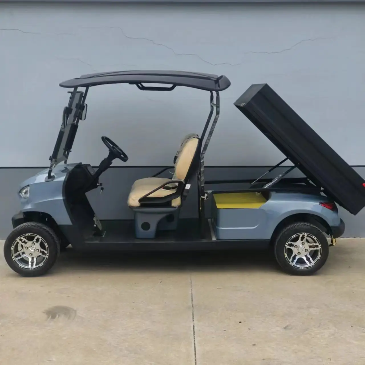 Battery Operated Electric 2 Passenger Golf Cart Electric With Cargo Box
