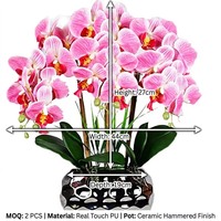 Realistische Phalaenopsis-Orchidee Künstliche Blume im Keramiktopf Seidenarrangement Hotel Hochzeit Heim-Deko Großhandel Maßanfertigung OEM