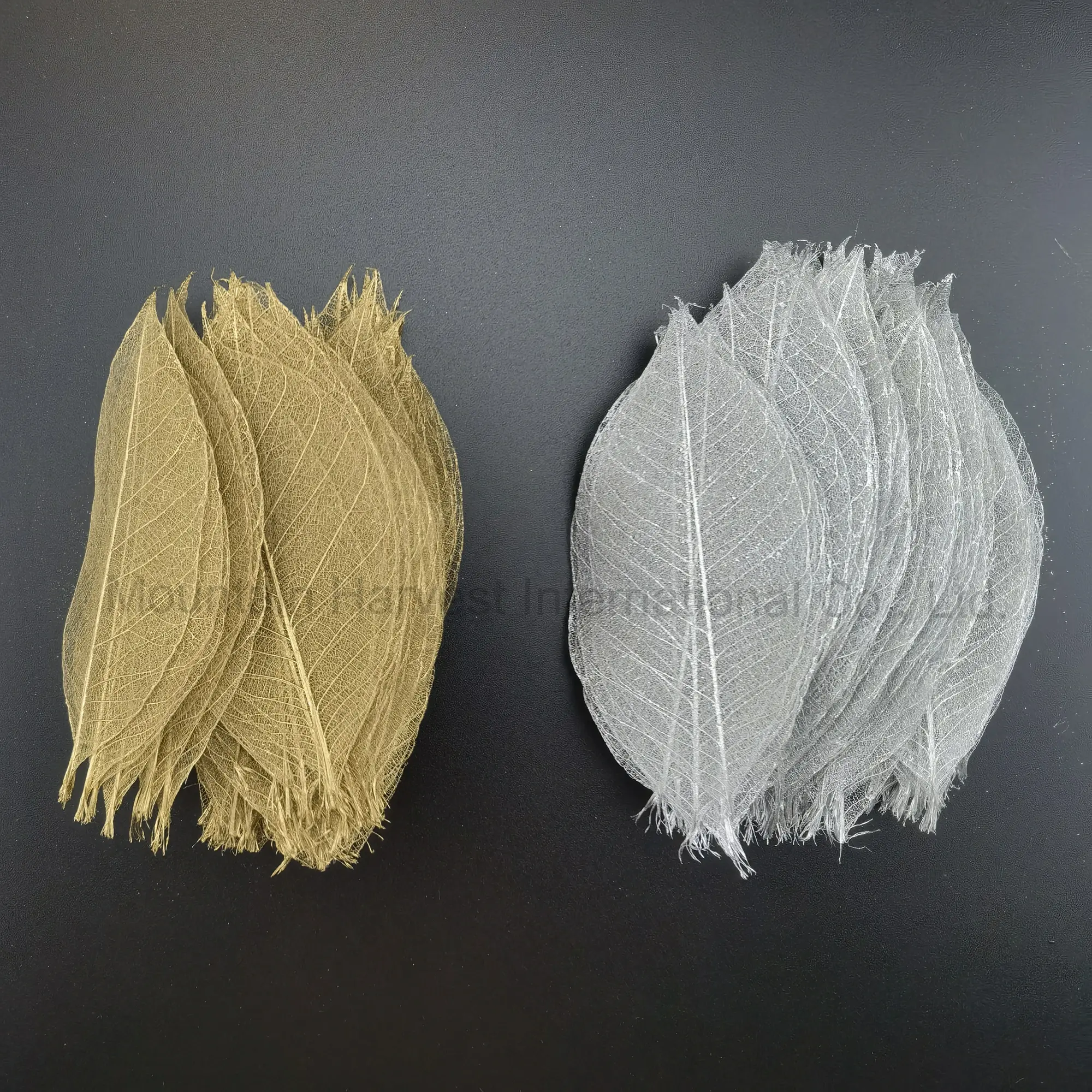 100pcs/बैग धातु का रंग L.8-10cm रबर पेड़ कंकाल पत्तियां क्राफ्ट कार्ड स्क्रैपबुक DIY हस्तनिर्मित ज़ेब सजावट कला