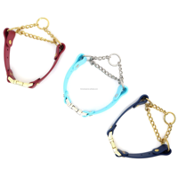 Collier de dressage pour chien en PVC souple, tactique, mignon et personnalisé, avec chaîne martingale – Texture gaufrée, rembourré pour un confort optimal, durable et facile d'entretien